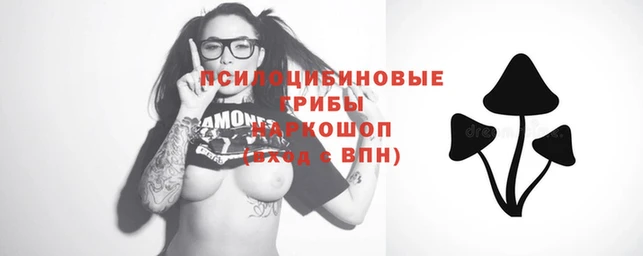 мет Кукмор