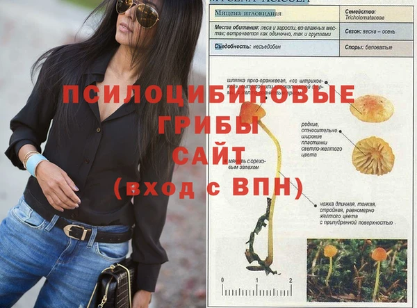 мет Кукмор