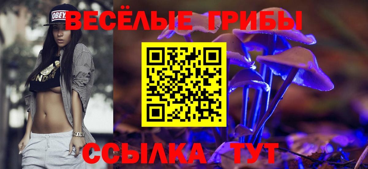 Псилоцибиновые грибы GOLDEN TEACHER Нижневартовск