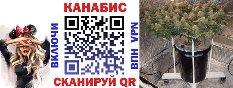 Канабис White Widow  закладки  Нижневартовск 
